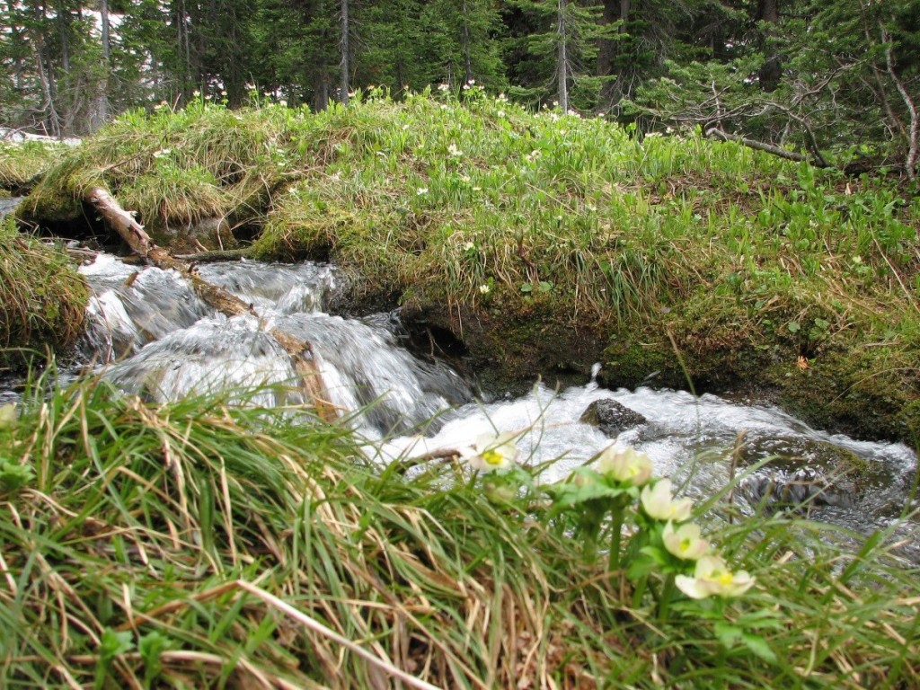 “Spring Run-Off, Mt. Cochrane” – Courtesy Stacy Metcalf 