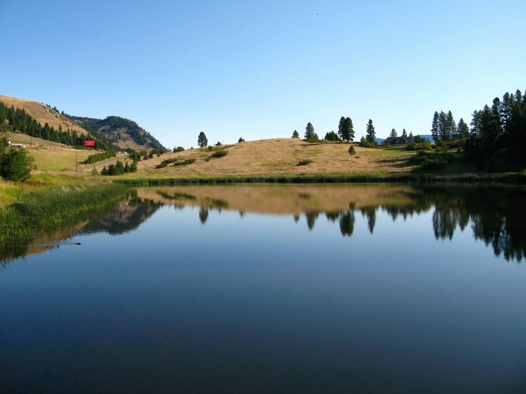 Reflections on Saddle Lake (Lorne Smithson)
